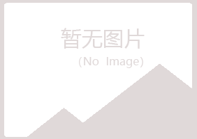 阳曲县友绿会计有限公司